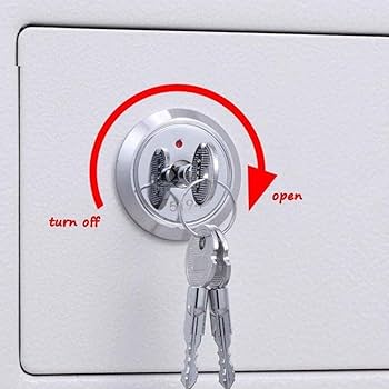 Amazon.co.jp: セーフティボックス、耐火防水金庫セーフティ